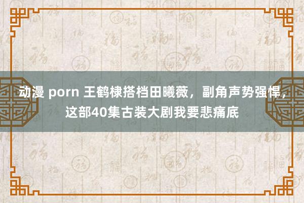 动漫 porn 王鹤棣搭档田曦薇，副角声势强悍，这部40集古装大剧我要悲痛底