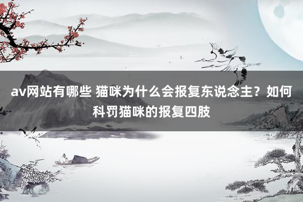 av网站有哪些 猫咪为什么会报复东说念主？如何科罚猫咪的报复四肢
