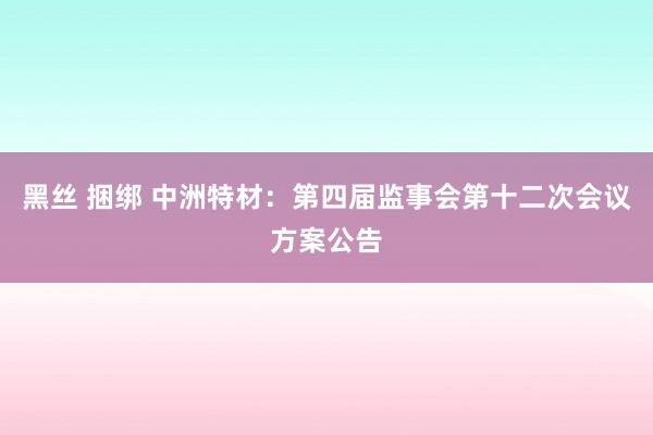 黑丝 捆绑 中洲特材：第四届监事会第十二次会议方案公告