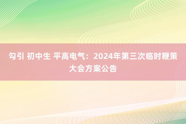 勾引 初中生 平高电气：2024年第三次临时鞭策大会方案公告
