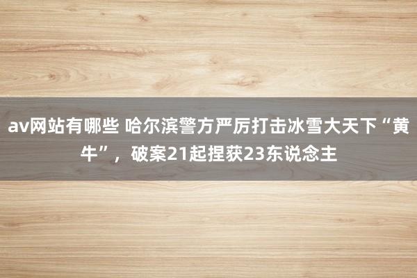 av网站有哪些 哈尔滨警方严厉打击冰雪大天下“黄牛”，破案21起捏获23东说念主