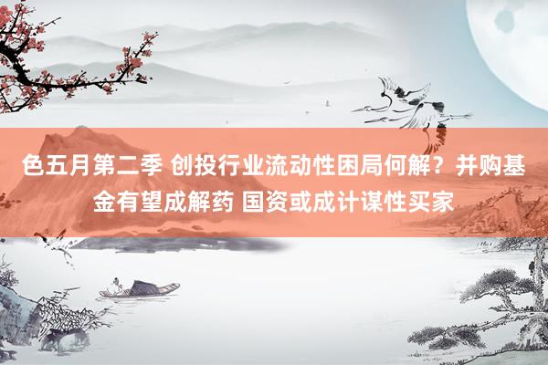 色五月第二季 创投行业流动性困局何解？并购基金有望成解药 国资或成计谋性买家