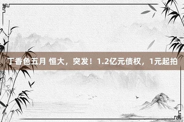 丁香色五月 恒大，突发！1.2亿元债权，1元起拍