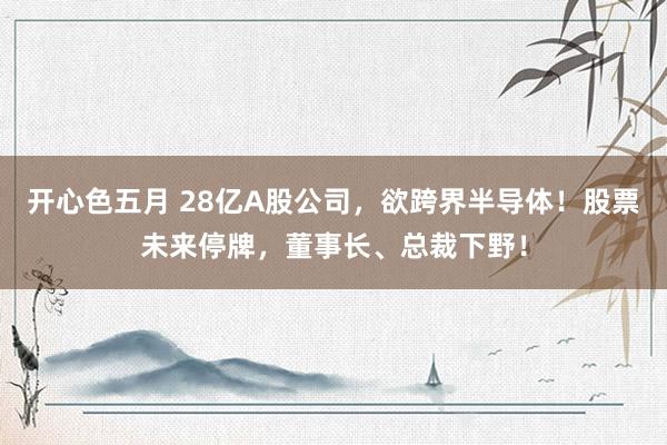 开心色五月 28亿A股公司，欲跨界半导体！股票未来停牌，董事长、总裁下野！