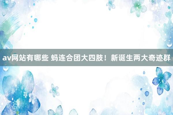 av网站有哪些 蚂连合团大四肢！新诞生两大奇迹群