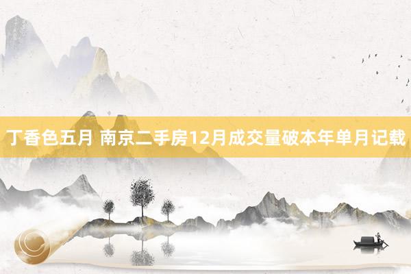 丁香色五月 南京二手房12月成交量破本年单月记载