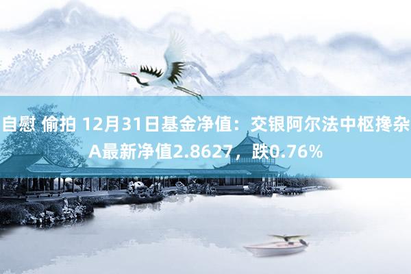 自慰 偷拍 12月31日基金净值：交银阿尔法中枢搀杂A最新净值2.8627，跌0.76%