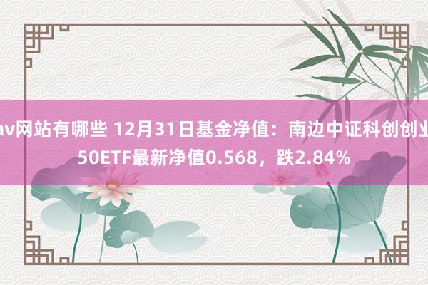 av网站有哪些 12月31日基金净值：南边中证科创创业50ETF最新净值0.568，跌2.84%