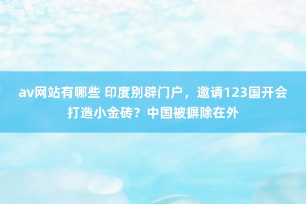 av网站有哪些 印度别辟门户，邀请123国开会打造小金砖？中国被摒除在外