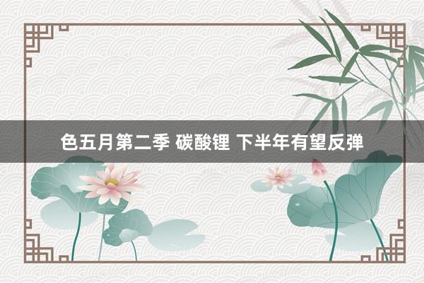 色五月第二季 碳酸锂 下半年有望反弹