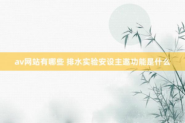 av网站有哪些 排水实验安设主邀功能是什么