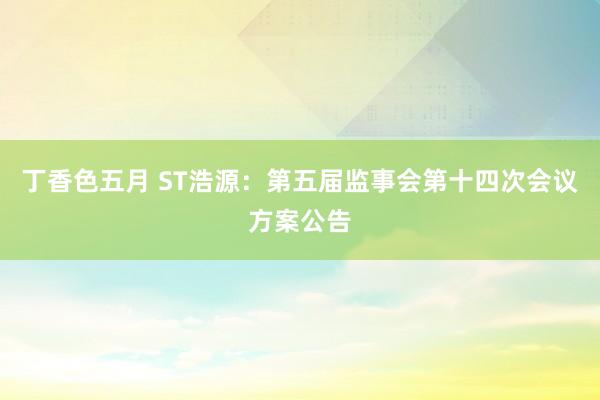 丁香色五月 ST浩源：第五届监事会第十四次会议方案公告