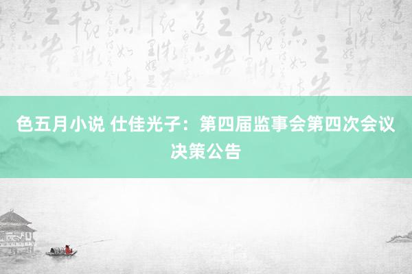 色五月小说 仕佳光子：第四届监事会第四次会议决策公告