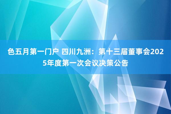 色五月第一门户 四川九洲：第十三届董事会2025年度第一次会议决策公告