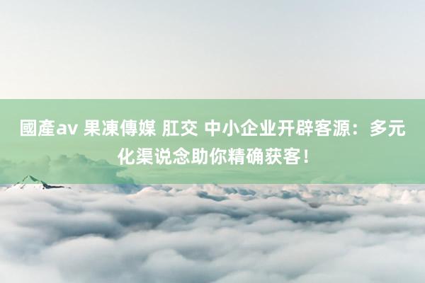 國產av 果凍傳媒 肛交 中小企业开辟客源：多元化渠说念助你精确获客！