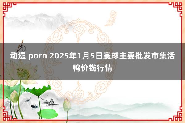 动漫 porn 2025年1月5日寰球主要批发市集活鸭价钱行情