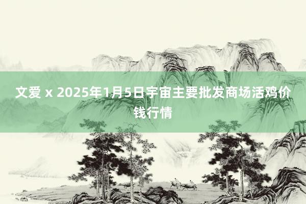 文爱 x 2025年1月5日宇宙主要批发商场活鸡价钱行情