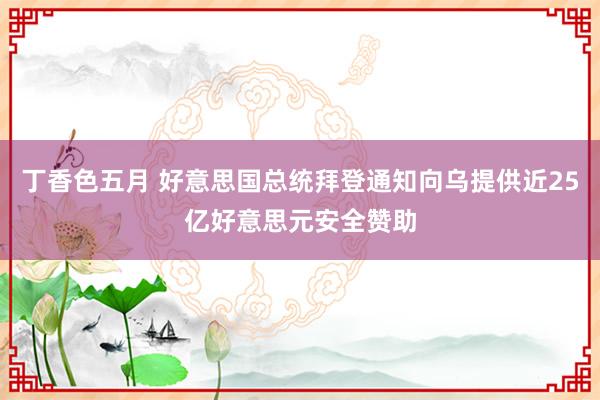 丁香色五月 好意思国总统拜登通知向乌提供近25亿好意思元安全赞助