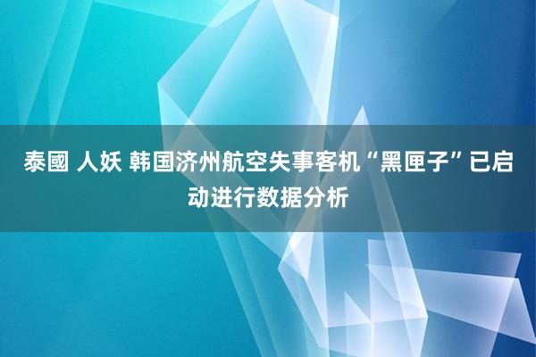 泰國 人妖 韩国济州航空失事客机“黑匣子”已启动进行数据分析