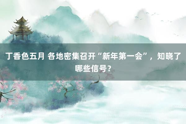 丁香色五月 各地密集召开“新年第一会”，知晓了哪些信号？