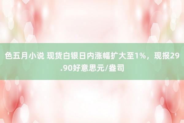 色五月小说 现货白银日内涨幅扩大至1%，现报29.90好意思元/盎司