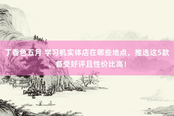 丁香色五月 学习机实体店在哪些地点，推选这5款，备受好评且性价比高！