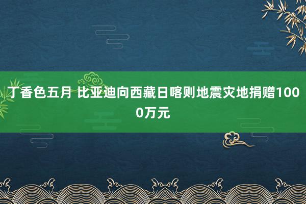丁香色五月 比亚迪向西藏日喀则地震灾地捐赠1000万元