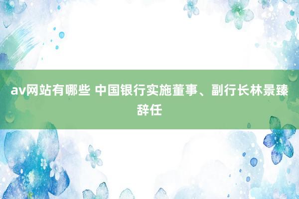 av网站有哪些 中国银行实施董事、副行长林景臻辞任