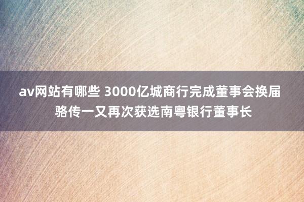 av网站有哪些 3000亿城商行完成董事会换届  骆传一又再次获选南粤银行董事长