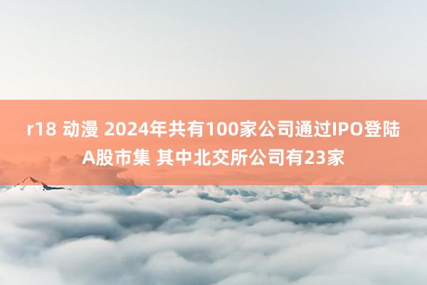 r18 动漫 2024年共有100家公司通过IPO登陆A股市集 其中北交所公司有23家