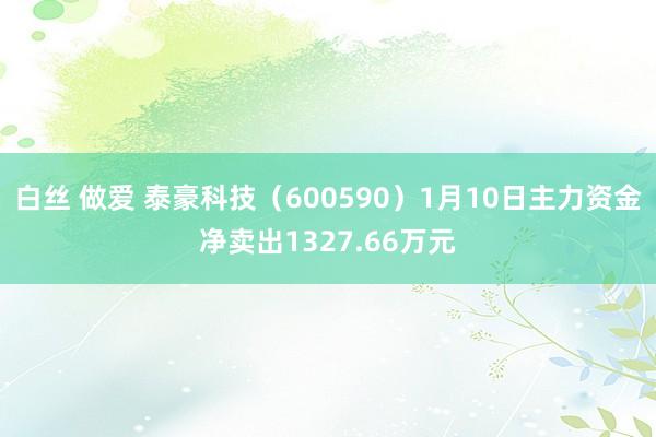 白丝 做爱 泰豪科技（600590）1月10日主力资金净卖出1327.66万元