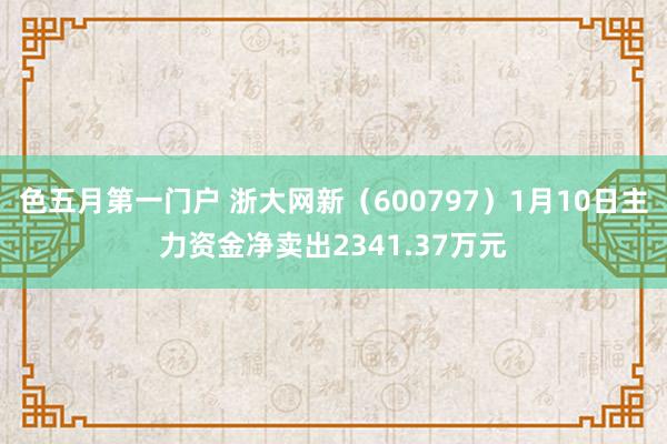 色五月第一门户 浙大网新（600797）1月10日主力资金净卖出2341.37万元
