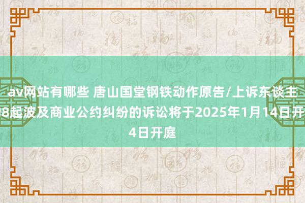 av网站有哪些 唐山国堂钢铁动作原告/上诉东谈主的8起波及商业公约纠纷的诉讼将于2025年1月14日开庭