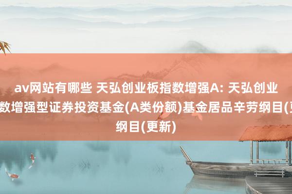 av网站有哪些 天弘创业板指数增强A: 天弘创业板指数增强型证券投资基金(A类份额)基金居品辛劳纲目(更新)