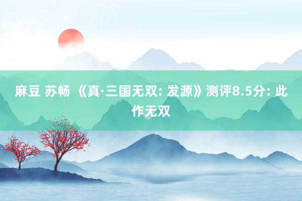 麻豆 苏畅 《真·三国无双: 发源》测评8.5分: 此作无双