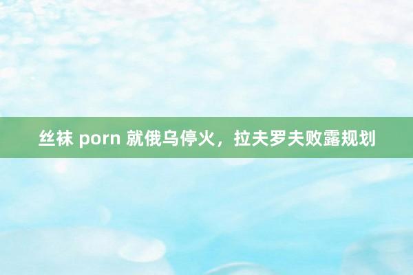 丝袜 porn 就俄乌停火，拉夫罗夫败露规划