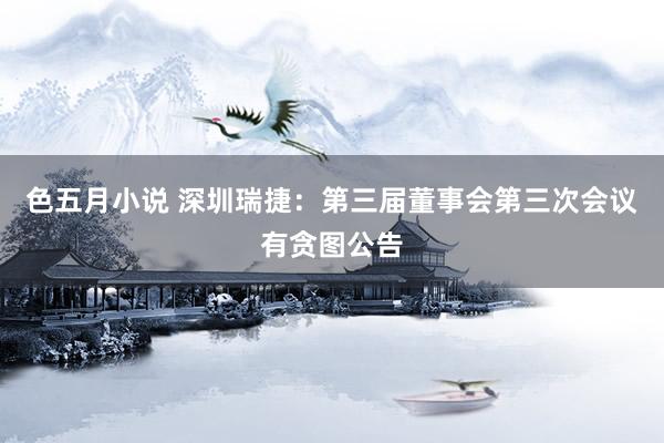 色五月小说 深圳瑞捷：第三届董事会第三次会议有贪图公告