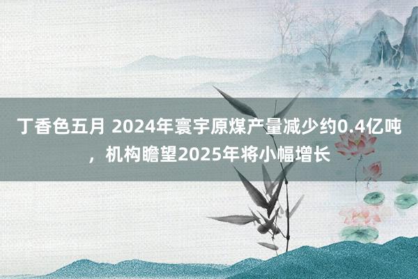 丁香色五月 2024年寰宇原煤产量减少约0.4亿吨，机构瞻望2025年将小幅增长