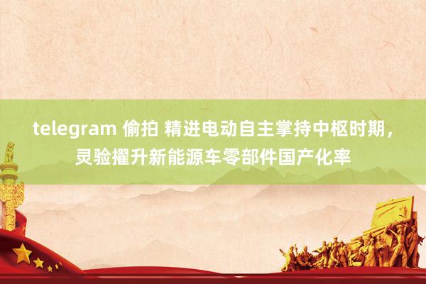 telegram 偷拍 精进电动自主掌持中枢时期，灵验擢升新能源车零部件国产化率