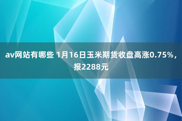 av网站有哪些 1月16日玉米期货收盘高涨0.75%，报2288元