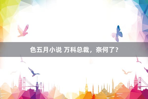 色五月小说 万科总裁，奈何了？
