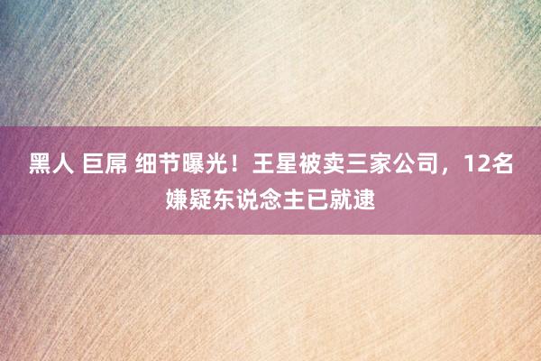 黑人 巨屌 细节曝光！王星被卖三家公司，12名嫌疑东说念主已就逮