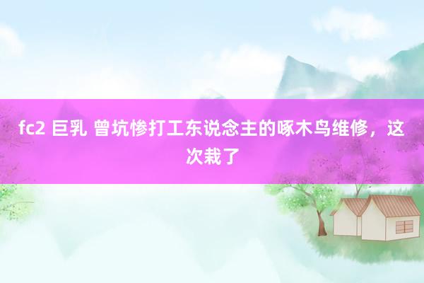 fc2 巨乳 曾坑惨打工东说念主的啄木鸟维修，这次栽了