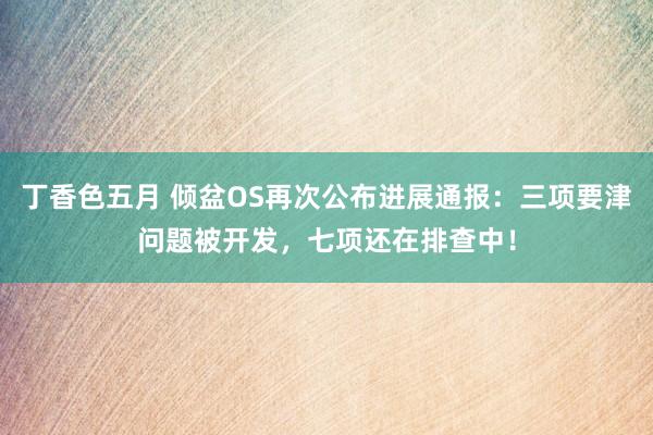 丁香色五月 倾盆OS再次公布进展通报：三项要津问题被开发，七项还在排查中！