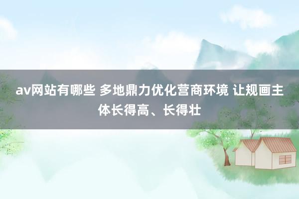 av网站有哪些 多地鼎力优化营商环境 让规画主体长得高、长得壮