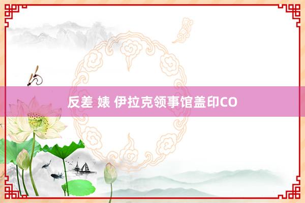 反差 婊 伊拉克领事馆盖印CO