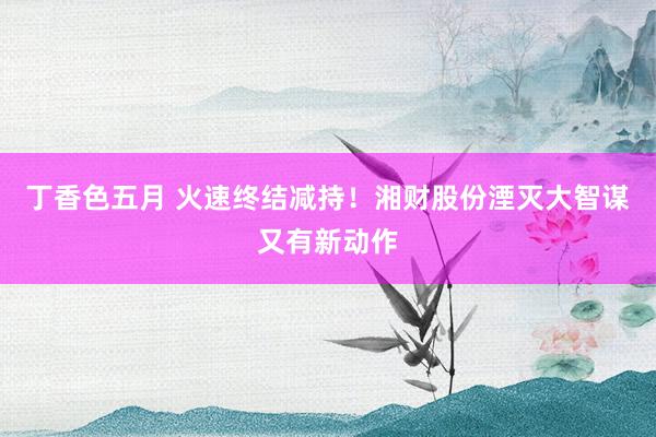 丁香色五月 火速终结减持！湘财股份湮灭大智谋又有新动作