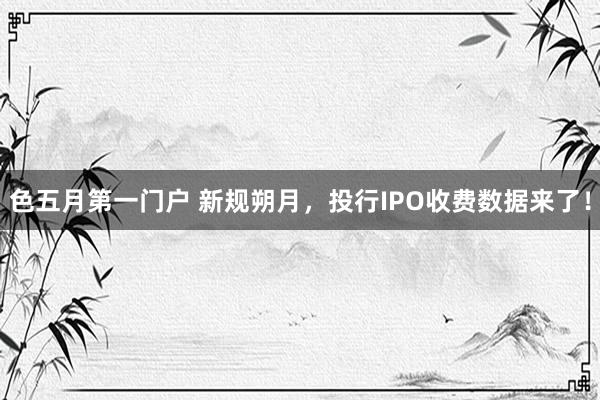 色五月第一门户 新规朔月，投行IPO收费数据来了！