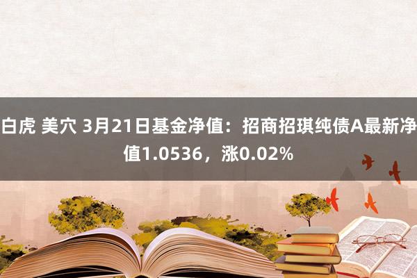 白虎 美穴 3月21日基金净值：招商招琪纯债A最新净值1.0536，涨0.02%