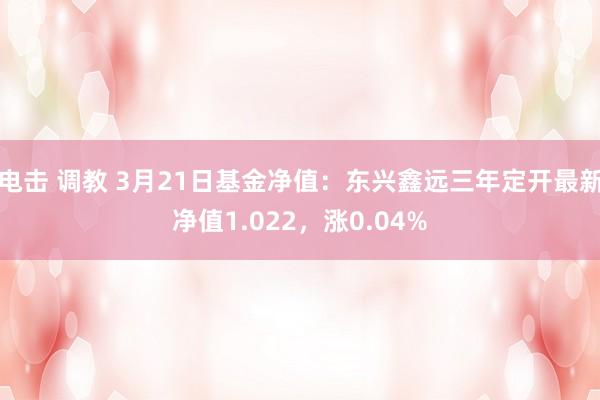 电击 调教 3月21日基金净值：东兴鑫远三年定开最新净值1.022，涨0.04%